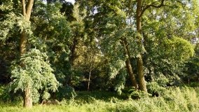 Paryż – owoc miłości do żony - zdjęcie 10