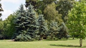 Pałac w Grochowiskach Szlacheckich pełen sekretów - zdjęcie 7