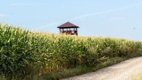 Wieża widokowa w Dusznie - zdjęcie 7