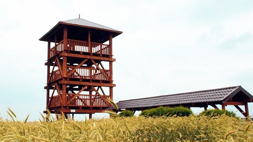 Wieża widokowa w Dusznie - zdjęcie 1