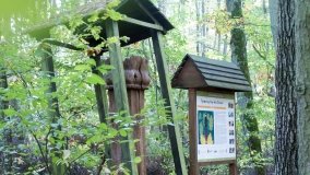 Zagadkowy słup na trasie z Tuczna do Zielonki - zdjęcie 2