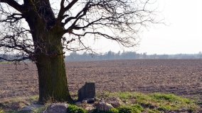 Zagadkowy obelisk pod dębem „Wilhelma” - zdjęcie 4