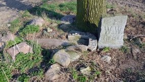 Zagadkowy obelisk pod dębem „Wilhelma” - zdjęcie 7