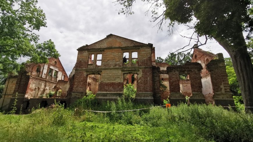 Pałac w Dąbrówce Ludomskiej - zdjęcie 1