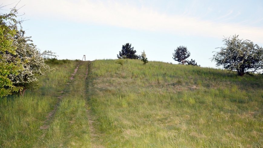 Wzgórze Waliszewskie - zdjęcie 1