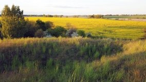 Wzgórze Waliszewskie - zdjęcie 6