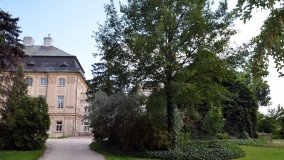 Zespół pałacowy w Ciążeniu - zdjęcie 3