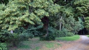 Zespół pałacowy w Ciążeniu - zdjęcie 8