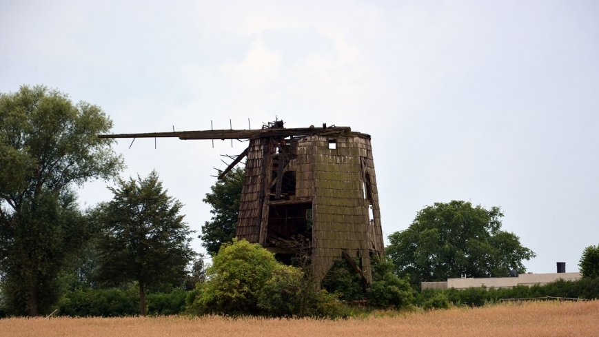 Wiatrak holender w Reczu - zdjęcie 1