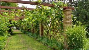 Klasztor w Lądzie nad Wartą - zdjęcie 24