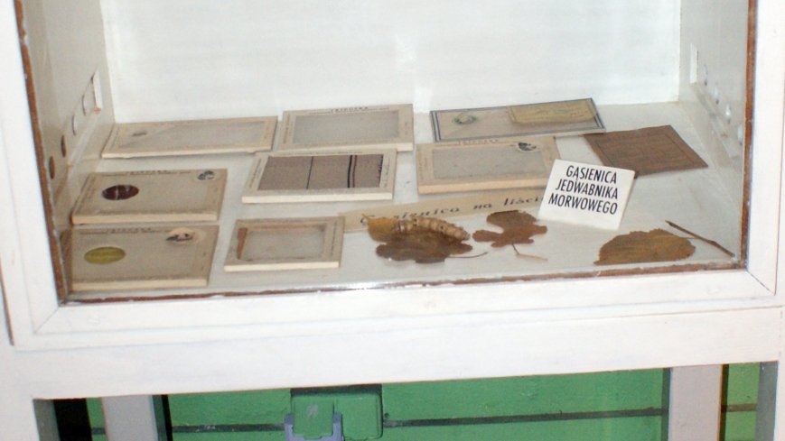 Muzeum Pszczelarstwa w Swarzędzu - zdjęcie 1