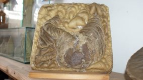 Muzeum Pszczelarstwa w Swarzędzu - zdjęcie 4