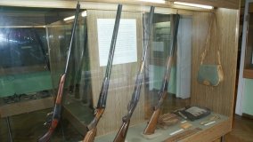Muzeum Przyrodniczo-Łowieckie w Uzarzewie - zdjęcie 14