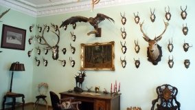 Muzeum Przyrodniczo-Łowieckie w Uzarzewie - zdjęcie 15