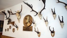 Muzeum Przyrodniczo-Łowieckie w Uzarzewie - zdjęcie 16