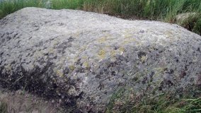 Zapomniany wśród łąk. Głaz królowej Jadwigi? - zdjęcie 2