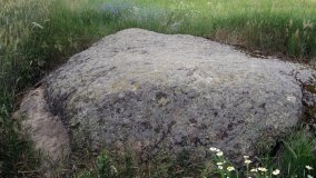 Zapomniany wśród łąk. Głaz królowej Jadwigi? - zdjęcie 4