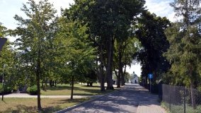 Lipy ku czci powstańców - zdjęcie 2