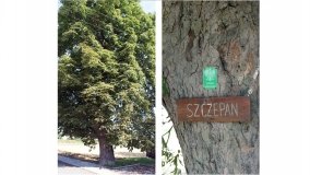 Kościół w Żernikach z wieloma sekretami - zdjęcie 6