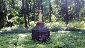 Zagadka budziszewskiego parku - zdjęcie 12