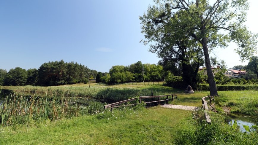 Arboretum w Zielonce - zdjęcie 1