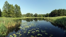 Arboretum w Zielonce - zdjęcie 3