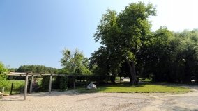 Arboretum w Zielonce - zdjęcie 4