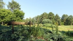 Arboretum w Zielonce - zdjęcie 5