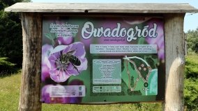 Arboretum w Zielonce - zdjęcie 7