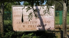 Arboretum w Zielonce - zdjęcie 8