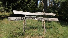 Arboretum w Zielonce - zdjęcie 10