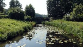 Arboretum w Zielonce - zdjęcie 11