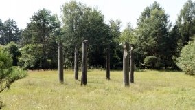 Arboretum w Zielonce - zdjęcie 12