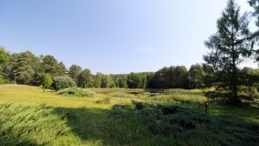 Arboretum w Zielonce - zdjęcie 13