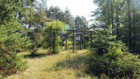 Arboretum w Zielonce - zdjęcie 16