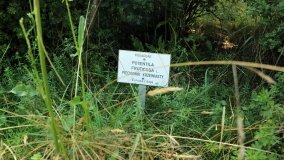 Arboretum w Zielonce - zdjęcie 18