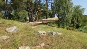 Arboretum w Zielonce - zdjęcie 19