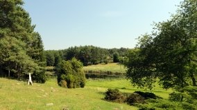 Arboretum w Zielonce - zdjęcie 20