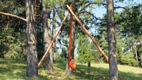 Arboretum w Zielonce - zdjęcie 22