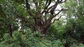 Studzieniec – historia podupadającego dworu - zdjęcie 4