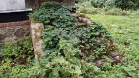 Studzieniec – historia podupadającego dworu - zdjęcie 12