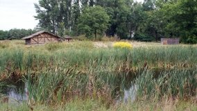 Dwór z duchem rodziny Brzeskich w Jabłkowie - zdjęcie 6