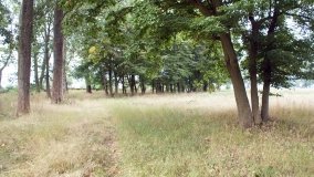 Dwór z duchem rodziny Brzeskich w Jabłkowie - zdjęcie 7