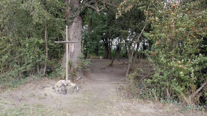 Zapomniana nekropolia w Grzybowie - zdjęcie 1