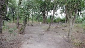 Zapomniana nekropolia w Grzybowie - zdjęcie 2