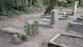 Zapomniana nekropolia w Grzybowie - zdjęcie 9