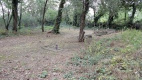 Zapomniana nekropolia w Grzybowie - zdjęcie 11