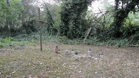 Zapomniana nekropolia w Grzybowie - zdjęcie 15