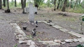 Zapomniana nekropolia w Grzybowie - zdjęcie 18