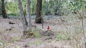 Zapomniana nekropolia w Grzybowie - zdjęcie 23